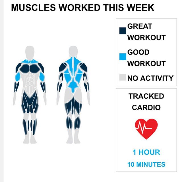 Weekly Recap from bodybuilding.com for last week!

CHEST
What a week, dude! You lifted over twice your normal number of chest exercises and sets with six exercises and 52 sets. You did an excellent job of mixing up your chest workouts, with 20 of your 52 sets coming from your leading lift, dumbbell flyes. You averaged 23 lbs. per set throughout the exercise.
BICEPS
Is there such a thing as too many bicep exercises? Based on your three this week, no way! Out of your 24 bicep sets, half were from your sets of hammer curls. You hit 12 sets in total, and you averaged an awesome 22 lbs. per set.
SHOULDERS
Dude, you just kept going with your shoulders, totaling three exercises. Out of your 20 sets, 10 came from arnold dumbbell press, making it your top lift from the week. The lift really made your shoulders work, averaging 35 lbs. per set.
CARDIO
You were a cardio machine this week, hitting a new personal best with three cardio exercises. Oh yeah.

NOTES:
* You were a beast this week, setting a new personal best of 40 quad sets.
* The 1,020 lbs. you lifted this week with your quads is a new personal high. Keep up the good work!
* There you go! Clocking in with 1,020 lbs., you hit a new personal high in total weight lifted with your hamstrings.
* You had one hell of a calf week. You achieved a new personal best in total weight lifted this week with 1,100 lbs.