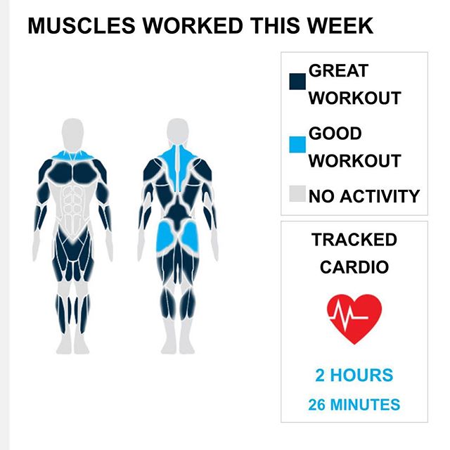 Weekly Recap from bodybuilding.com for last week!

CHEST
That's right -- you lifted more than double your normal number of chest exercises and sets with seven exercises and 62 sets. You had an awesome distribution among your chest lifts with your leading lift, dumbbell flyes, only making up 20 of your 62 sets. Your average was 48 lbs. per set throughout the exercise.

SHOULDERS
It doesn't get much better than doing 50% more than your average number of shoulder exercises. You did a total of three exercises, and 9% of your workouts included your shoulders. Arnold dumbbell press was your top shoulder lift. It accounted for 50% of your total shoulder sets. In those sets, you managed to average an impressive 32 lbs. per set!
TRICEPS
This week could be one of your top workout weeks. You knocked out three tricep exercises and 22 sets. Out of your 22 sets, 10 came from lying triceps press, making it your top lift from the week. The lift really made your triceps work, averaging 30 lbs. per set.

CARDIO
You had one hell of a cardio week, logging over 50% more than your normal amount of cardio with four exercises.

NOTES:
* You had one hell of a hamstring week. You hit a new personal record in total weight lifted this week with 1,160 lbs.
* Way to go! Clocking in with 1,700 lbs., you hit a new personal best in total weight lifted with your calves.
* The 2,310 lbs. you lifted this week with your chest is a new personal best. There you go!
* You've officially put your chest on the fast track to serious strength gains. Over just the last month your dumbbell flyes went from 32 lbs. to 48 lbs.
