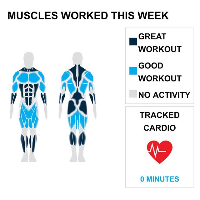 Weekly Recap from bodybuilding.com for last week!

ABDOMINALS
With two new personal records of 21 exercises and 53 sets, you had an awesome ab week. Weighted sit-ups - with bands was your leading lift, with an average of 15 lbs. per set. However, due to your great workout distribution, it only made up 15 of your 53 sets.

CHEST
You typically average three chest exercises, but this week you said, "forget that," and did an outstanding six exercises. It wasn't the top priority, but you still managed a solid chest week, which made up 13% of your overall workout. Barbell bench press - medium grip was virtually all of your chest exercises. You did 18 sets in total and averaged 110 lbs. per set. Word!

TRAPS
You just kept turning out trap exercises and sets this week. Six exercises and 15 sets are both new personal highs. With a total of nine sets, barbell shrug made up over half of your trap workout. In addition, you averaged 148 lbs. per set. Hell yeah.

NOTES:
* Nice work on the new personal record. You did a total of six tricep exercises this week.
* You hit a personal best with five calf exercises throughout the week.
* It's not every week you set a new PR, so give yourself a pat on the back. You completed six trap exercises.
* You had an awesome trap week. Your new personal best is 15 sets.

#workinprogress 