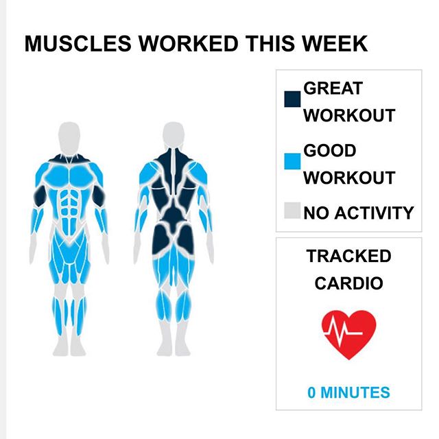 Weekly Recap from bodybuilding.com for last week!
ABDOMINALS
With 15 sets during the week, you made your abs a major point of emphasis. Your primary lift from the week was knee/hip raise on parallel bars, which made up nine of your 15 sets.
CHEST
Good for you putting in the extra bit of work on your chest. Your four exercises and eight sets accounted for 6% of your overall workout. With a total of four sets, standing cable chest press was half of your chest sets. In those sets, you managed to average an awesome five lbs. per set!
BICEPS
Your biceps must be throbbing after this week's workouts. Your six exercises were much higher than normal, while you also did 13 sets. You did many different bicep lifts over the course of the week, but the top one was dumbbell bicep curl. During the exercise you averaged 27 lbs. for six sets.

NOTES:
* Way to go on the new personal high. You did a total of seven shoulder exercises this week.
* You were a monster this week, setting a new personal record of 16 trap sets.
* Your traps just keep growing with your average dumbbell shrug weight going from 95 lbs. to 105 lbs. in the last month.
* With 13 tricep sets, you did more than your three-month average of 11. Way to get after it, man.

#workinprogress 
