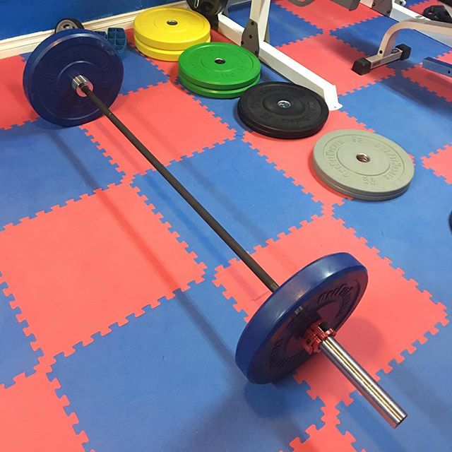 We finally got our One Fit Wonder Rubber Plate set in today from Fringe Sport. Going to try them out in morning. ​ #workinprogress 
