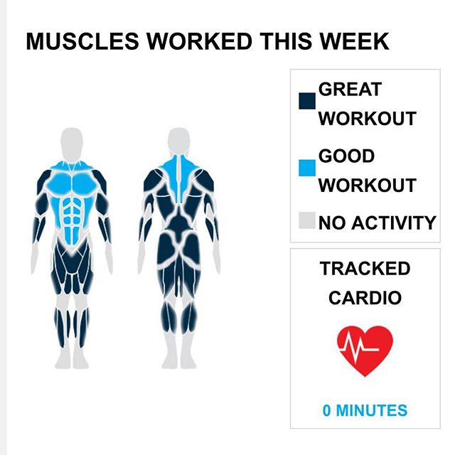 Weekly Recap from bodybuilding.com for last week!

SHOULDERS
With five shoulder exercises this week, you did over 50% more than your weekly average. Props! You did a total of 13 sets too. Upright barbell row was your best lift, with an average of 56 lbs. per set. However, due to your great workout distribution, it only made up four of your 13 sets.

TRICEPS
You cranked out a solid tricep week. You did five exercises this week, and 15% of your workouts included your triceps. Bench dips was your top tricep lift, and you did it for four of your 18 sets.
I
BICEPS
Dude, you just kept going with your biceps, totaling five exercises. Barbell curl was your best bicep lift. You did four sets and averaged 25 lbs. per set.

NOTES:
* Your biceps just keep growing with your average barbell curl weight going from 13 lbs. to 25 lbs. in the last month.
* That's what it's all about. Your 11 middle back sets from this week beat your three-month weekly average.
* Whatever you've been up to lately has been awesome. Your quad strength has increased dramatically.
* Way to pick it up. Your performance this week was greater than your three month weekly average with three quad exercises.

#workinprogress 