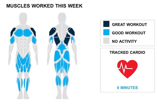 Weekly Recap from bodybuilding.com for last week!

QUADRICEPS
Your quads must be sore after a great workout week that included two exercises and 10 sets. The majority of your quad workout came from five sets of barbell full squat you did. You were a monster during the lift, averaging five lbs. per set.
CHEST
You did one chest exercise and five sets. The lone chest lift you did was barbell bench press - medium grip, although you did average an awesome 45 lbs. per set.
MIDDLE BACK
You came up short of your typical weekly middle back output with five sets. Bent over barbell row was your lone middle back lift, but you did crush the exercise, lifting an average of 65 lbs. per set.

NOTES:
* You did 10 quad sets this week. Compared to your three-month average, you dominated it.
* You lifted more than your three-month weekly average with your chest this week, totaling 225 lbs.
* Wow, you were a beast. Your average middle back weight per set of 65 lbs. was above your three-month average.
* You are on a bit of a sets roll right now. You have averaged two shoulder sets per workout over the past 30 days.

#workinprogress 