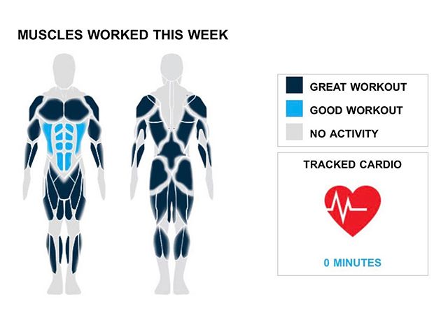 Weekly Recap from bodybuilding.com for last week!

ABDOMINALS
Man, you went full-domination this week at the gym. You did over 50% more than your average number of ab sets with 30. Plank, which only accounted for 10 of your 30 sets from the week, was your primary lift.

TRICEPS
You cranked out a solid tricep week. You did five exercises this week, and 15% of your workouts included your triceps. You split up your tricep workouts nicely, with your top lift, ez-bar skullcrusher, only making up four of your 13 sets.

QUADRICEPS
Dude, you just kept going with your quads, totaling three exercises. With a total of 10 sets, barbell full squat made up over half of your quad workout. In addition, you averaged 48 lbs. per set. Sweet.

NOTES:
* In just a year you've managed to graduate from lifting 50 lbs. per set of standing military press to a whopping 65.
* You did 15 quad sets this week. Compared to your three-month average, you dominated it.
* It's always good to look back on your progress. A mere six months ago you averaged 48 lbs. per set on ez-bar skullcrusher while now you've upped it to 53 lbs.
* Good job upping your game. Your performance this week was greater than your three month weekly average with two middle back exercises.

#workinprogress 
