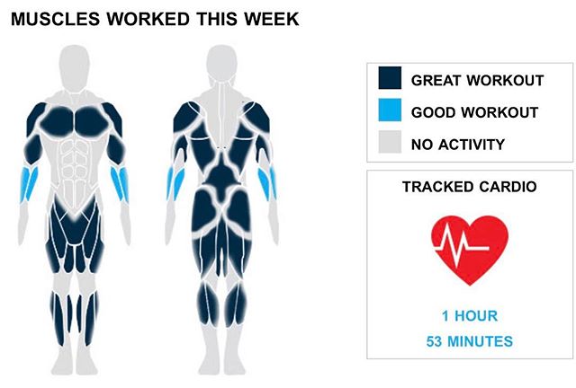 Weekly Recap from bodybuilding.com for last week!

TRICEPS
You only did two tricep exercises for six sets. Typically when you do weightlifting training with your triceps, you average three exercises and 12 sets. Make sure to get back at it next week and keep up the drive. Close-grip barbell bench press, for which you averaged 80 lbs. across three sets, was most of your tricep workout.

CALVES
You repped out a nice calf week. You did three exercises this week, and 10% of your workouts included your calves. Out of your six calf sets, more than 50% were from your sets of standing barbell calf raise. You hit four sets in total, and you averaged an impressive 48 lbs. per set.

MIDDLE BACK
Your middle back must be sore after this week's workouts. Your two exercises were much higher than normal, while you also did 10 sets. Bent over barbell row was your lone middle back lift, but you did crush the exercise, lifting an average of 97 lbs. per set.

CARDIO
You did well on balancing weightlifting and cardio. Keep it up!

NOTES:
* You've officially put your quads on the fast track to serious strength gains. Over just the last month your barbell full squat went from 13 lbs. to 75 lbs.
* In just a year you've managed to go from lifting 70 lbs. per set of close-grip barbell bench press to a whopping 80.
* Way to get after it. Your 15 quad sets from this week are better than your three-month weekly average.
* The last few weeks of middle back work have clearly been paying off with your strength increasing quickly. Cool!
* 
#workinprogress 