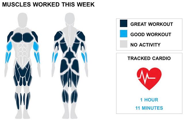Weekly Recap from bodybuilding.com for last week!

TRICEPS
Your triceps must be feeling it after a strong workout week that included three exercises and nine sets. Not only did the majority of your tricep workout come from your sets of close-grip barbell bench press, but you averaged an impressive 88 lbs. per set throughout the exercise.

CALVES
It doesn't get much better than doing 50% more than your average number of calf exercises. You did a total of three exercises, and 11% of your workouts included your calves. With a total of four sets, barbell seated calf raise was more than half of your calf sets. In those sets, you managed to average an awesome 53 lbs. per set!

MIDDLE BACK

It was a strong middle back week, with you doing a total of five sets. Bent over barbell row, at an average of 115 lbs. per set, was your only middle back lift.

CARDIO

Good work on maintaining balance between cardio and lifting. Keep it up!

NOTES:
* The 1,350 lbs. you lifted this week with your quads is a new personal high. Keep up the good work!
* You've officially put your chest on the fast track to serious strength gains. Over just the last month your barbell bench press - medium grip went from 60 lbs. to 90 lbs.
* You did 15 quad sets this week. Compared to your three-month average, you dominated it.
* The improvement in your barbell seated calf raise over the past six months has been awesome. You are now averaging 53 lbs. for the lift, while six months ago you were doing 35 lbs. per set

#workinprogress 