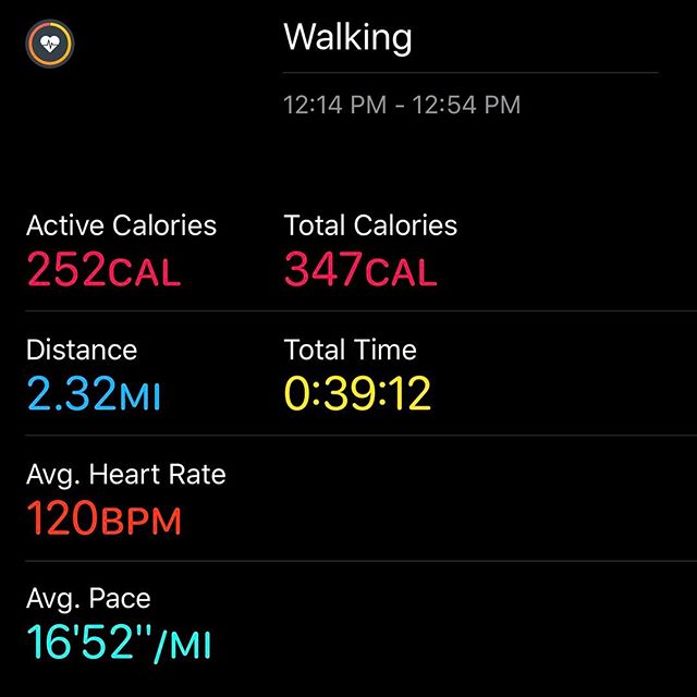 Lunchtime Walking!!! #workinprogress 