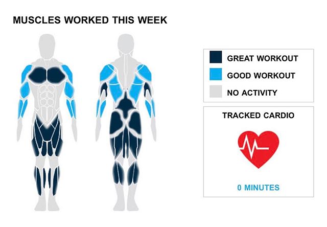 Weekly Recap from bodybuilding.com for last week!

TRICEPS
Good work this week. You did three exercises for a total of nine sets, and 20% of your workouts involved your triceps. Not only did the majority of your tricep workout come from your sets of close-grip barbell bench press, but you averaged a respectable 103 lbs. per set throughout the exercise.

CALVES
It doesn't get much better than doing 50% more than your average number of calf exercises. You did a total of three exercises, and 13% of your workouts included your calves. Barbell seated calf raise was your top calf lift. It accounted for more than half of your total calf sets. In those sets, you managed to average an impressive 73 lbs. per set!

MIDDLE BACK
Every once in a while a lighter week can be helpful, but make sure to come back strong next week. With your middle back, you totaled just three sets. Bent over barbell row was your lone middle back lift, but you did crush the exercise, lifting an average of 130 lbs. per set.

NOTES:
* The 1,800 lbs. you lifted this week with your quads is a new personal high. There you go!
* Your middle back just keeps growing with your average bent over barbell row weight going from 100 lbs. to 130 lbs. in the last month.
* That's what it's all about. Your 15 quad sets from this week beat your three-month weekly average.
* The improvement in your barbell seated calf raise over the past six months has been awesome. You are now averaging 73 lbs. for the lift, while six months ago you were doing 35 lbs. per set.

#workinprogress 