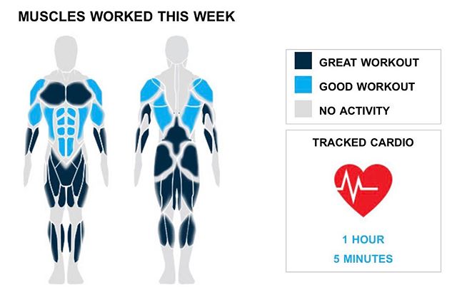 Weekly Recap from bodybuilding.com for last week!

TRICEPS
There is no greater feeling than an amazing week at the gym. You doubled up your average number of tricep exercises this week, hitting six. You did a total of 18 sets too. Close-grip barbell bench press was your best lift, with an average of 118 lbs. per set. However, due to your awesome workout distribution, it only made up six of your 18 sets.

BICEPS
By completing nine sets, your biceps were another top priority. You split up your bicep workouts nicely, with your top lift, hammer curls, only making up three of your nine sets.

CALVES
It was a sweet calf week, with you doing three exercises and six sets. With a total of four sets, barbell seated calf raise made up over 50% of your calf workout. In addition, you averaged 88 lbs. per set. Sweet.

CARDIO
You did a nice job of keeping a good balance between lifting and cardio. Keep it up!

NOTES:
* Keep up the good work! Clocking in with 1,125 lbs., you set a new personal high in total weight lifted with your triceps.
* It was a great quad week for you. You hit a new personal best in total weight lifted this week with 2,250 lbs.
* You've officially put your chest on the fast track to serious strength gains. Over just the last month your barbell bench press - medium grip went from 90 lbs. to 115 lbs.
* That's what it's all about. Your 18 tricep sets from this week are better than your three-month weekly average.

#workinprogress 