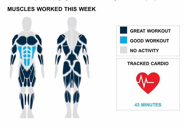 Weekly Recap from bodybuilding.com for last week!

RICEPS
There is no greater feeling than an incredible week at the gym. You doubled up your average number of tricep exercises this week, hitting six. You did a total of 18 sets too. You had a great workout distribution with your number one lift, bench press - powerlifting, only making up six of your 18 sets. Your average was 78 lbs. per set throughout the exercise.

CHEST
It doesn't get much better than doing over 50% more than your average number of chest exercises. You did a total of five exercises, and 22% of your workouts included your chest. Barbell bench press - medium grip was your top chest lift. It accounted for more than 50% of your total chest sets. In those sets, you managed to average an impressive 113 lbs. per set!

BICEPS
These are the kind of weeks that you look back on and feel proud about. You lifted your biceps in a total of nine sets, which was 10% of your workouts. Out of your nine sets, three came from hammer curls, for which you averaged 15 lbs. per set, making it your best lift from the week.

CARDIO
You did a nice job of keeping a good balance between lifting and cardio. Keep it up!

NOTES:
* Way to go! Clocking in with 2,025 lbs., you set a new personal high in total weight lifted with your quads.
* You've officially put your shoulders on the fast track to serious strength gains. Over just the last month your standing military press went from 80 lbs. to 95 lbs.
* Way to get after it. Your 15 quad sets from this week beat your three-month weekly average.
* In just a year you've managed to graduate from lifting 45 lbs. per set of standing calf raises to a whopping 85.

#workinprogress 