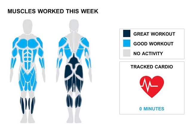 Weekly Recap from bodybuilding.com for last week!

TRICEPS
When you lift, you really lift. You did three exercises for a total of nine sets, and 13% of your workouts involved your triceps. Close-grip barbell bench press was your top lift, with an average of 15 lbs. per set. However, due to your awesome workout distribution, it only made up three of your nine sets.

BICEPS
You hit your biceps hard this week, with a total of nine sets and three exercises. Your top bicep lift was hammer curls. However, because you did a bunch of different lifts, it only accounted for three of your nine sets.

ABDOMINALS
Every so often a lighter week can be helpful, but come back hungry next week. With your abs, you totaled just six sets. All of your sets came from crunches.

NOTES:
* Remember when you were lifting 28 lbs. per set when doing barbell bench press - medium grip? Well now, a year later, you are doing 65 lbs. per set!
* With 10 shoulder sets, you outperformed your three-month average of six. Way to get after it, man.
* Your three bicep exercises from this week are greater than your three-month weekly average.
* Compared to last week, you didn't do as many middle back sets, only doing five. Last week you did 10 in total.

#workinprogress 