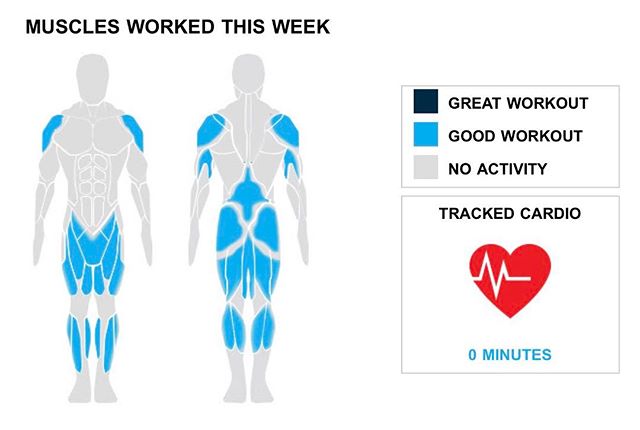 Weekly Recap from bodybuilding.com for last week!

SHOULDERS
It was a down week for you as you only did one shoulder exercise for five sets. Typically when you do weightlifting training with your shoulders, you average three exercises and 10 sets. Make sure to get back at it next week and keep up the drive. While averaging 75 lbs. per set, standing military press was your top shoulder lift.

HAMSTRINGS
By completing five sets, your hamstrings were also a point of emphasis. All five of your hamstring sets came from barbell deadlift exercise. It was a good lift with an average of 145 lbs. per set.

QUADRICEPS
Every now and then a lighter week can be helpful, but get that fire back next week. With your quads, you totaled just five sets. Barbell full squat, at an average of 75 lbs. per set, was your only quad lift.

NOTES:
* With five hamstring sets, you did more than your three-month average of two. Way to get after it, buddy.
* Remember when you were lifting 60 lbs. per set when doing standing military press? Well now, a year later, you are doing 75 lbs. per set!
* Getting strong is no piece of cake, but over the past few months you've made it look like it is. Your increase in hamstring strength is something to be proud of.
* You've seen notable increase in shoulders strength. Improvement of this magnitude is a cause for celebration!

#workinprogress 