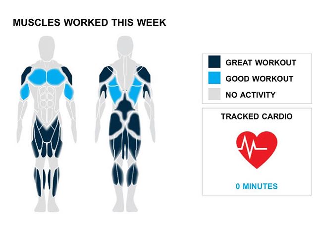 Weekly Recap from bodybuilding.com for last week!

MIDDLE BACK
Just another day at the office -- and by office we mean gym, and by just another day we mean you were sick. You did a total of five sets, and 12% of your workouts involved your middle back. Your middle back lift of choice was bent over barbell row, and you averaged 75 lbs. per set.

QUADRICEPS
You elevated your workout with three quad exercises and 15 sets. The only quad lift you did was barbell full squat, although you did average an awesome 65 lbs. per set.

SHOULDERS
Your shoulders must be throbbing after this week's workouts. Your two exercises were much higher than normal, while you also did 10 sets. Standing military press was your lone shoulder lift, but you did crush the exercise, lifting an average of 53 lbs. per set.

NOTES:
* You've officially put your middle back on the fast track to serious strength gains. Over just the last month your bent over barbell row went from 65 lbs. to 75 lbs.
* That's what it's all about. Your six hamstring sets from this week are better than your three-month weekly average.
* Whatever you've been up to lately is clearly working. Your chest strength is something to be proud of.
* Your two hamstring exercises from this week are greater than your three-month weekly average.

#workinprogress 