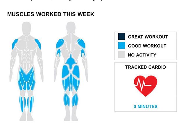 Weekly Recap from bodybuilding.com for last week!

SHOULDERS
Even though you had a down week, your shoulders must be sore after a strong workout week that included one exercise and five sets. While working out your shoulders, standing military press was your go-to lift at an average of 65 lbs. per set. Good work!

HAMSTRINGS
While your one exercise and one set worked your hamstrings well this week, it was less intense than normal. The lone hamstring lift you did was barbell deadlift, although you did average an awesome 165 lbs. per set.

QUADRICEPS
Occasionally a lighter week can be helpful, but come back ready to work next week. With your quads, you totaled just five sets. Barbell full squat, at an average of 90 lbs. per set, was your only quad lift.

NOTES:
* Your quads just keep growing with your average barbell full squat weight going from 45 lbs. to 90 lbs. in the last month.
* Whatever you've been up to lately has been awesome. Your quad strength has increased dramatically.
* In just a year you've managed to graduate from lifting 145 lbs. per set of barbell deadlift to a whopping 165.
* Over the past couple months you've managed to put in quite a bit of work. Your quads must be sore because you have increased in strength substantially

#workinprogress 