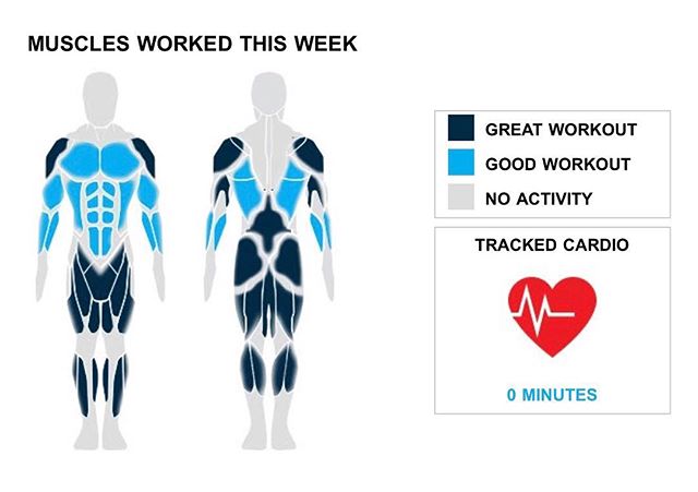 Weekly Recap from bodybuilding.com for last week! 
ABDOMINALS
There is nothing more satisfying than an extraordinary week at the gym. You did over two times your average number of ab sets this week, hitting 15. 25% of your week's workouts involved your abs. Crunches was your lone lift.
 TRICEPS
While your one exercise and two sets worked your triceps well this week, it was less intense than normal. The only tricep lift you did was ez-bar skullcrusher, although you did average an impressive 25 lbs. per set.
 CALVES
You only managed one calf exercise and two sets in your down week. Standing dumbbell calf raise, at an average of 60 lbs. per set, was your only calf lift.

NOTES:
* Your shoulders just keep growing with your average standing military press weight going from 53 lbs. to 63 lbs. in the last month.
* That's what it's all about. Your 15 quad sets from this week are better than your three-month weekly average.
* The last few weeks of middle back work have begun to pay dividends with your strength increasing quickly. Impressive!
* Your three quad exercises from this week are more than your three-month weekly average.

#workinprogress 