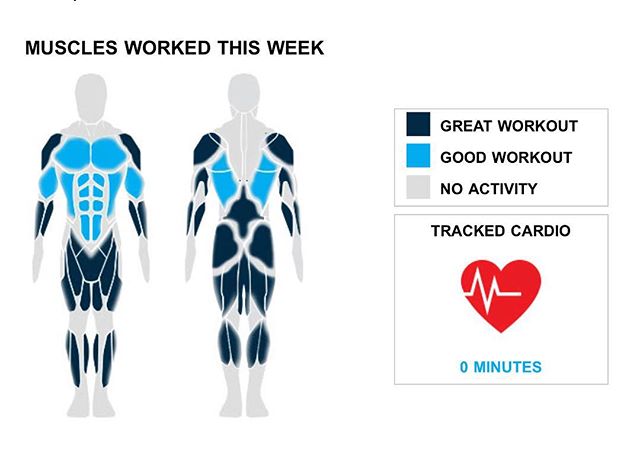 Weekly Recap from bodybuilding.com for last week! 
ABDOMINALS
Way to get in there and do work with your abs, lifting them two times for a total of 10 sets. They were only a small piece of your weekly regimen, making up 24% of your exercises. Crunches was your only lift.

TRICEPS
One exercise and two sets is a killer tricep week; way to go. It wasn't the top priority, but you still managed a solid tricep week, with 5% of your workout involving the muscle group. The lone tricep lift you did was ez-bar skullcrusher, although you did average an awesome 35 lbs. per set.

CALVES
It was a great calf week for you, dude, with a total of two sets. You also included your calves in 5% of your workouts. Standing dumbbell calf raise was your lone calf lift, but you did crush the exercise, lifting an average of 80 lbs. per set.

NOTES:
* You've officially put your calves on the fast track to serious strength gains. Over just the last month your standing dumbbell calf raise went from 48 lbs. to 80 lbs.
* Whatever you've been up to lately has been dynamite. Your hamstring strength has increased steadily.
* You lifted 70 lbs. with your biceps this week, which is much higher than your three-month weekly average.
* * Getting strong is no piece of cake, but over the past few months you've made it look like it is. Your increase in quad strength is something to behold.

#workinprogress 