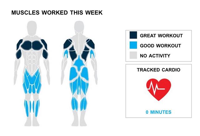 Weekly Recap from bodybuilding.com for last week! 
MIDDLE BACK
Your middle back must be throbbing after a good workout week that included one exercise and five sets. While averaging 75 lbs. per set, bent over barbell row was your top middle back lift.

CHEST
One exercise and five sets is a killer chest week; way to go. It wasn't the top priority, but you still managed a solid chest week, with 33% of your workout involving the muscle group. Despite barbell bench press - medium grip being your lone chest workout, you still rocked it with 55 lbs. per set. Way to go!

QUADRICEPS
These weeks always feel tough, but the results are worth it. You lifted your quads in a total of five sets, which was 33% of your workouts. Barbell full squat was your lone quad lift, but you did crush the exercise, lifting an average of 65 lbs. per set

NOTES:
* You lifted more than your three-month weekly average with your chest this week, totaling 275 lbs.
* You averaged 65 lbs. per set with your quads this week, above your three-month average. Wow, you killed it.
* Last week, you were able to do 10 quad sets. You fell short of that this week with only five sets.
* You only hit one quad exercise this week, short of last week's two

#workinprogress 