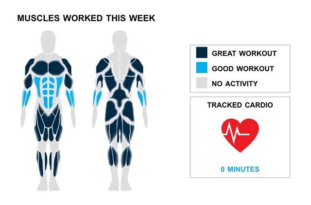 Weekly Recap from bodybuilding.com for last week!

CHEST
There is nothing better than an incredible week at the gym. You did over two times your average number of chest exercises this week, hitting two. You did a total of seven sets too. Most of your chest workout came from five sets of barbell bench press - medium grip you did. You were a beast during the exercise, lifting an average of 85 lbs. per set.

BICEPS
It wasn't easy, but by gosh you did it. Nice work on doubling up your number of bicep exercises and sets this week. You tallied four sets over two different exercises, and 7% of your workouts included your biceps. The lone bicep lift you did was barbell curl, although you did average an awesome 48 lbs. per set.

SHOULDERS
Your shoulders must be throbbing after this week's workouts. Your two exercises were much higher than normal, while you also did eight sets. Standing military press, at an average of 83 lbs. per set, was your only shoulder lift.

NOTES:
* Your shoulders just keep growing with your average standing military press weight going from 55 lbs. to 83 lbs. in the last month.
* With 10 hamstring sets, you did more than your three-month average of four. Way to get after it, buddy.
* The last few weeks of chest work have begun to pay dividends with your strength increasing quickly. Nice work!
* Your two shoulder exercises from this week are more than your three-month average. Good job!

 #workinprogress 