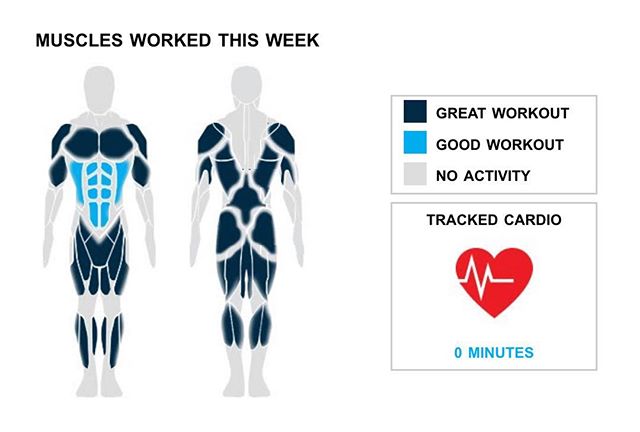 Weekly Recap from bodybuilding.com for last week!

CHEST
That's right -- you lifted more than double your normal number of chest exercises and sets with four exercises and 14 sets. The majority of your chest workout came from 10 sets of barbell bench press - medium grip you did. You were a beast during the exercise, lifting an average of 93 lbs. per set.

BICEPS 
One exercise and two sets is a killer bicep week; way to go. It wasn't the top priority, but you still managed a solid bicep week, with 4% of your workout involving the muscle group. The lone bicep lift you did was ez-bar curl, although you did average an awesome 55 lbs. per set.

SHOULDERS
Every once in a while a lighter week can be helpful, but make sure to come back strong next week. With your shoulders, you totaled just three sets. Standing military press, at an average of 90 lbs. per set, was your only shoulde

NOTES:
* Your quads just keep growing with your average barbell full squat weight going from 85 lbs. to 140 lbs. in the last month.
* It's always good to look back on your progress. A mere six months ago you averaged 15 lbs. per set on ez-bar curl while now you've upped it to 55 lbs.
* That's what it's all about. Your four calf sets from this week are better than your three-month weekly average.
* Whatever you've been up to lately is clearly working. Your chest strength has increased steadily.

 #workinprogress 