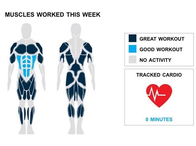 Weekly Recap from bodybuilding.com for last week!

ABDOMINALS
There is nothing more satisfying than an extraordinary week at the gym. You did twice your average number of ab exercises this week, hitting three. You did a total of eight sets too. Plank, which made up the bulk of your workout with a total of six sets, was your best lift.
BICEPS
By completing two sets, your biceps were another top priority. The lone bicep lift you did was ez-bar curl, although you did average an awesome 70 lbs. per set.
SHOULDERS
Periodically a lighter week can be helpful, but come back ready to work next week. With your shoulders, you totaled just one set. Standing military press was your lone shoulder lift, but you did crush the exercise, lifting an average of 95 lbs. per set

NOTES:
* The 2,550 lbs. you lifted this week with your quads is a new personal high. There you go!
* You've officially put your quads on the fast track to serious strength gains. Over just the last month your barbell full squat went from 113 lbs. to 170 lbs.
* Way to get after it. Your 10 chest sets from this week are better than your three-month weekly average.
* It's always good to look back on your progress. A mere six months ago you averaged 15 lbs. per set on ez-bar curl while now you've upped it to 70 lbs.

 #workinprogress 