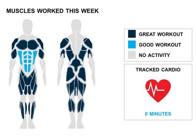 Weekly Recap from bodybuilding.com for last week!

ABDOMINALS
There is nothing more satisfying than an extraordinary week at the gym. You did twice your average number of ab sets this week, hitting 15. 20% of your week's workouts involved your abs. Your leading lift from the week was hanging leg raise, which accounted for 10 of your 15 sets.

BICEPS
It doesn't get much better than doing over 50% more than your average number of bicep sets. You did a total of five sets, and 7% of your workouts included your biceps. The only bicep lift you did was hammer curls, although you did average an impressive 35 lbs. per set. 
SHOULDERS
It was a strong shoulder week for you, dude, with a total of five sets. Your shoulders were also included in 7% of your workouts. Arnold dumbbell press, at an average of 20 lbs. per set, was your only shoulder lift.

NOTES:
* Remember when you were lifting 65 lbs. per set when doing bent over barbell row? Well now, a year later, you are doing 95 lbs. per set!
* You did five bicep sets this week. Compared to your three-month average, you dominated it.
* The improvement in your barbell full squat over the past six months has been awesome. You are now averaging 160 lbs. for the lift, while six months ago you were doing 90 lbs. per set.
* Your two middle back exercises from this week are more than your three-month average. Nice work!

 #workinprogress 