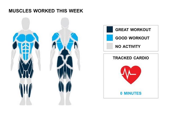 Weekly Recap from bodybuilding.com for last week!

ABDOMINALS
Like Arnold has always said, ""pain is temporary, pride is forever."" After your incredible week you must be feeling very prideful. You totaled 15 ab sets over three exercises. Your primary lift from the week was hanging leg raise, which you did for a total of 10 sets.

BICEPS
You had awesome bicep workouts, doubling up your normal number of exercises and sets with two and 10. In those 10 sets, which were all sets of hammer curls, you averaged an awesome 35 lbs. per set.

SHOULDERS
You owned it with two shoulder exercises and 10 sets, both of which are over double your weekly averages. Arnold dumbbell press, at an average of 20 lbs. per set, was your only shoulder lift

NOTES:
* Remember when you were lifting 65 lbs. per set when doing bent over barbell row? Well now, a year later, you are doing 95 lbs. per set!
* You did five bicep sets this week. Compared to your three-month average, you dominated it.
* The improvement in your barbell full squat over the past six months has been awesome. You are now averaging 160 lbs. for the lift, while six months ago you were doing 90 lbs. per set.
* Your two middle back exercises from this week are more than your three-month average. Nice work!

 #workinprogress 